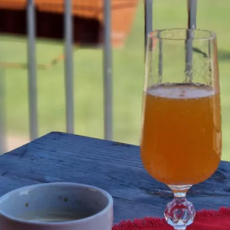 стара голица 빌라 *